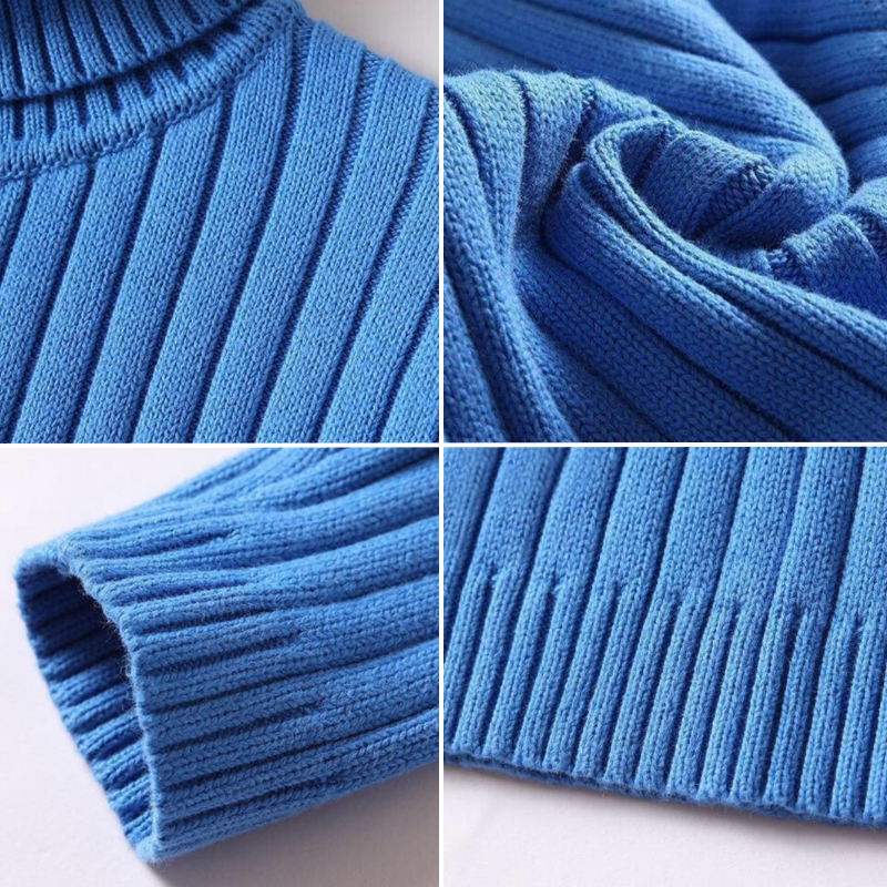 Leander - Merinowoll-Rollkragenpullover für Herren