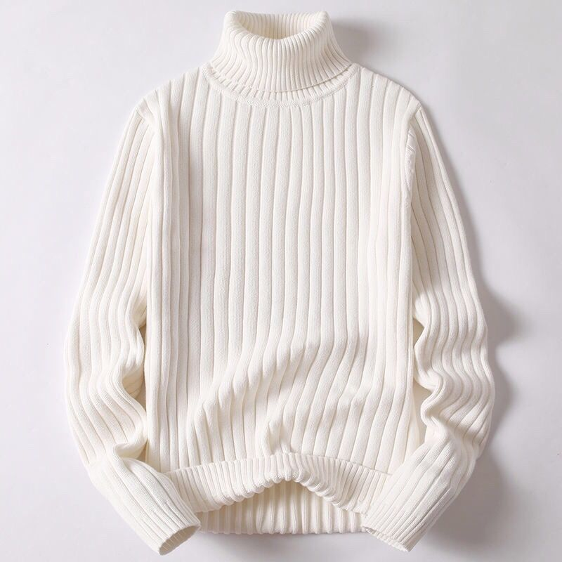 Leander - Merinowoll-Rollkragenpullover für Herren