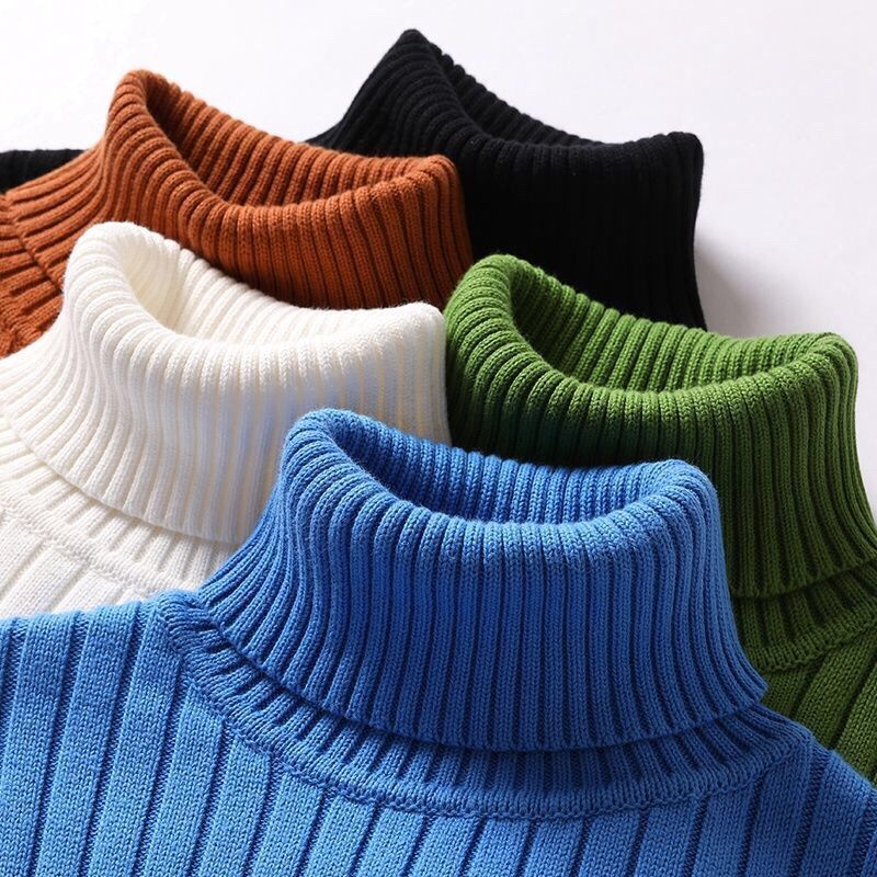Leander - Merinowoll-Rollkragenpullover für Herren